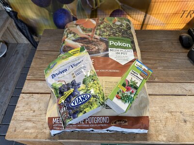 Aanplantpakket druiven