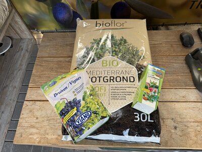 Aanplantpakket druiven