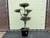 olijfboom pon-pon stamomvang 20 - 25cm